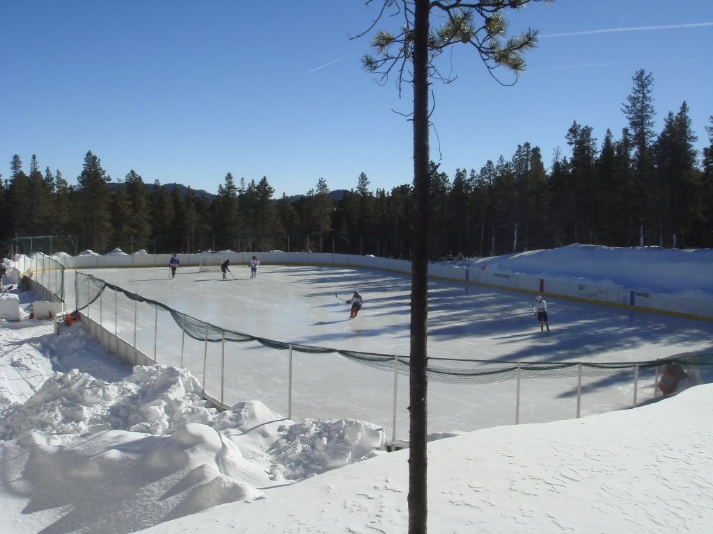 ned ice rink